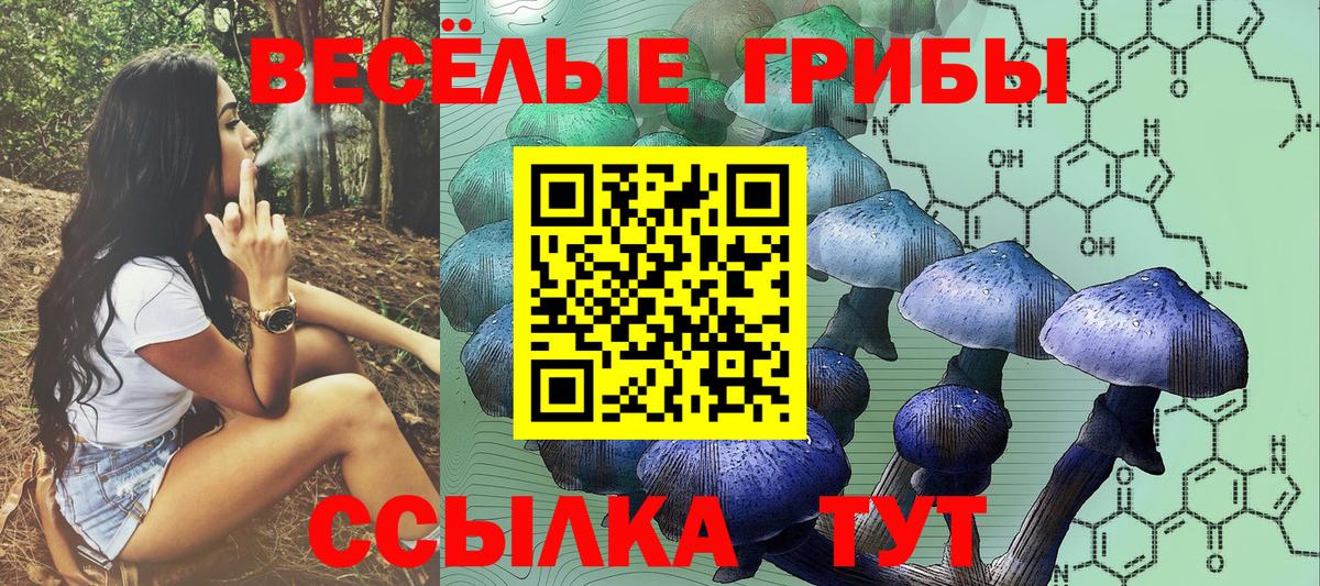 Галлюциногенные грибы Cubensis  Вход с VPN  Тихорецк  Галлюциногенные грибы ЛСД 