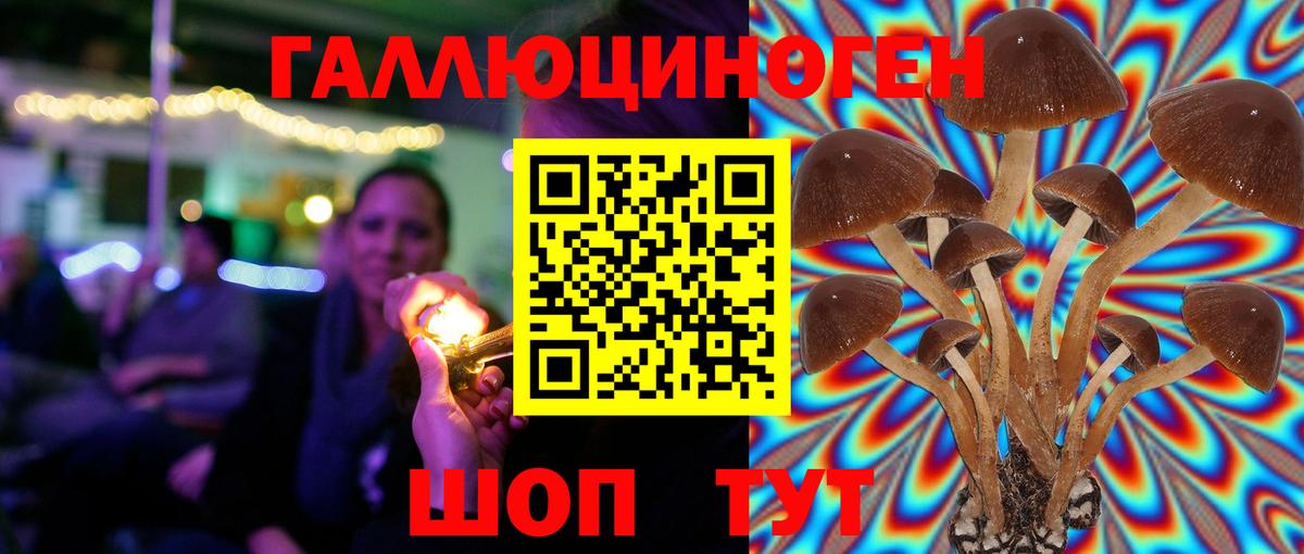 Псилоцибиновые грибы Psilocybe Тихорецк